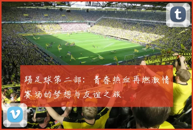 踢足球第二部：青春热血再燃激情赛场的梦想与友谊之旅