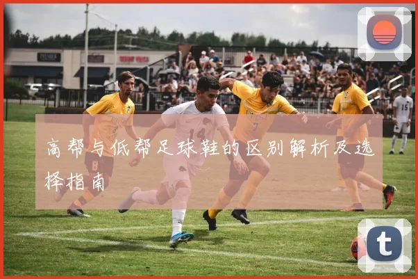 高帮与低帮足球鞋的区别解析及选择指南