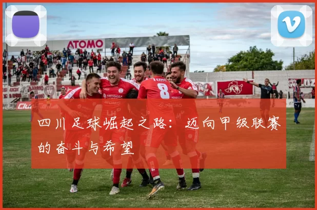 四川足球崛起之路：迈向甲级联赛的奋斗与希望